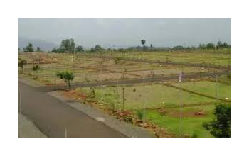 अब पांच डिसमिल से कम कृषि भूमि की नहीं होगी रजिस्ट्री, नए कानून को राज्यपाल की मंजूरी मिल गई है